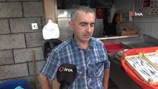 Yalovada Hamsi, Balık Tezgahlarında 80 Liraya Düştü