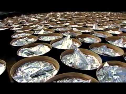 ქართული საქმე - „მარნეული\"