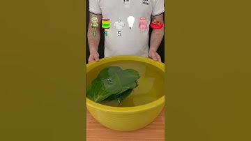 TRY TO GUESS HOW MANY LEAVES WILL FLOAT? #experiment #asmr #satisfying #waterexperiment #leaves