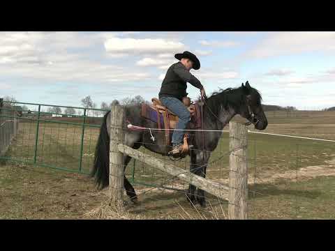 Opening and Closing Gates From Horseback