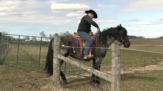 Opening and Closing Gates From Horseback