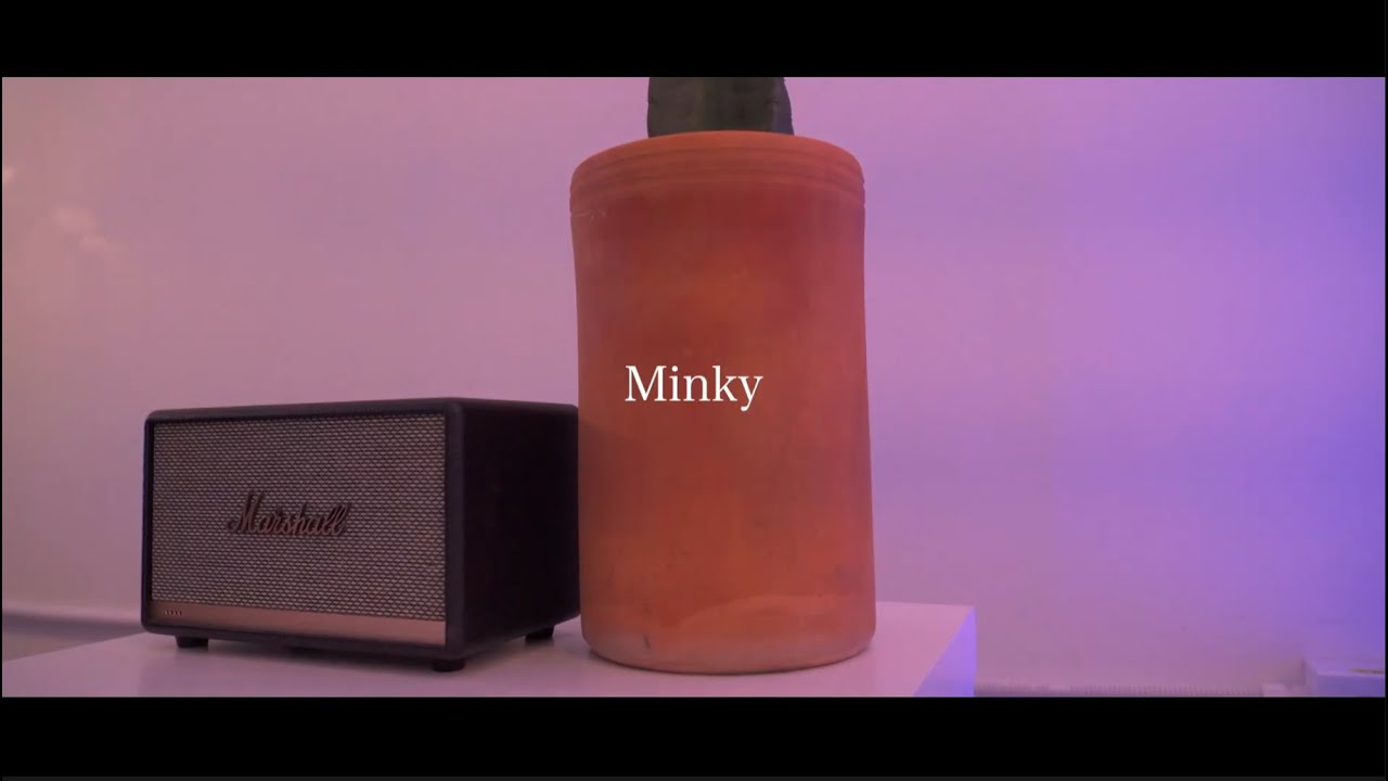 Back Seat Saweetie & Lourdiz l Minky YouTube