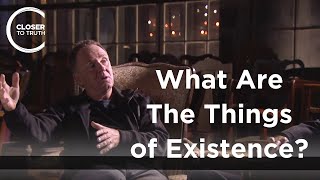 Colin Mcginn - What Are The Things Of Existence?