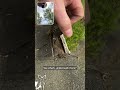 Roof Inspection in Charlotte NC
