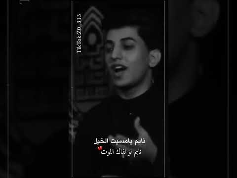 نايم يامسيت الخيل نايم لو لفاك الموت مسلم الوائلي 