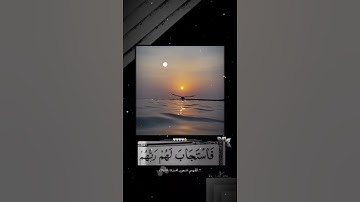 فاستجاب لهم ربهم.. #ريحانة_قرآن #قرآن #تلاوة_خاشعة #quran #ياسر_الدوسري