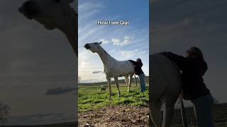 Don’t let Gigi fool you