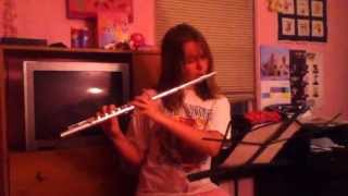 DearS - Love Slave (flute cover)