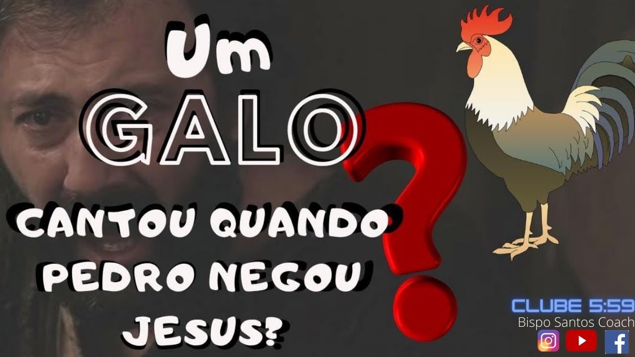 Quando O Galo Canta Fora De Hora O Que Significa