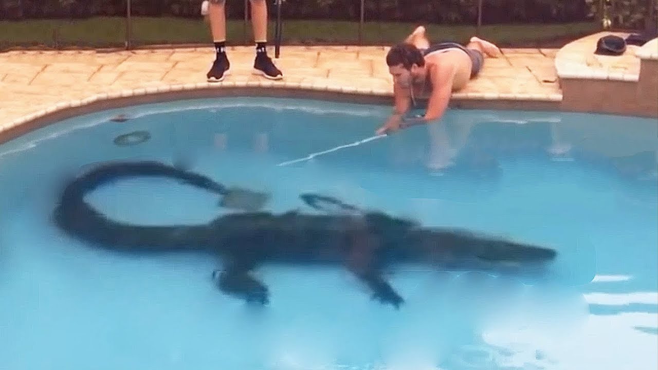 Funny Swimming Pool Fails You Won't Believe