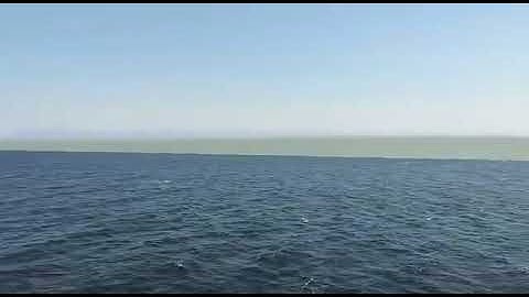 Where two oceans meet but do not mix. Miraculous gulf of Alaska