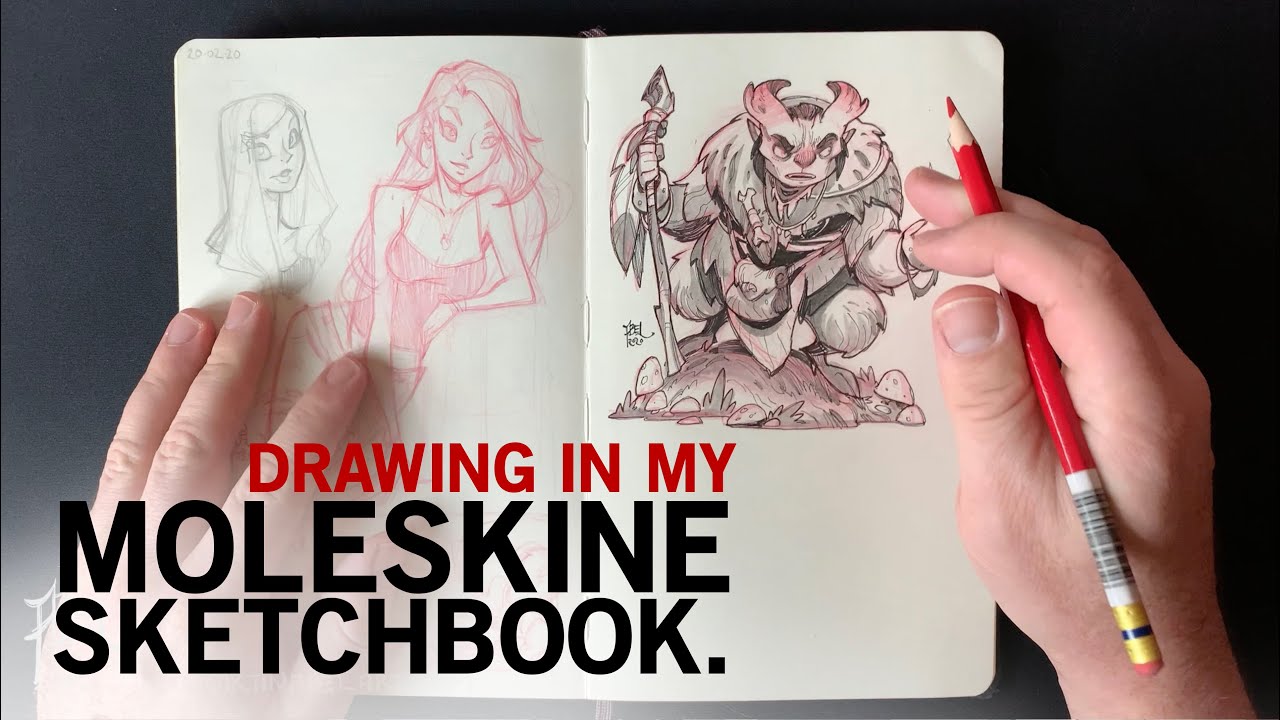 Sketching With a Moleskine