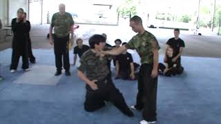 Wing Chun CRCA Combat Techniques 32