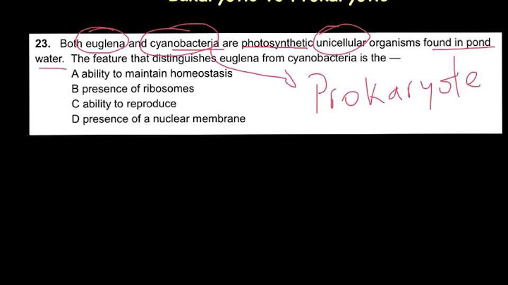 So sánh hệ gen của prokaryote và eukaryote