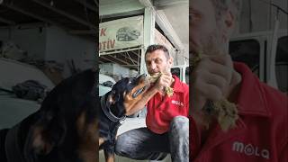 Shorts Klipleri Bittiği Denize Dalışlar Rodvaydır Klipleri Bu Rot Başka Rot