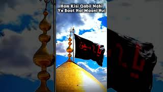 Ham ne Ye mana ke ham darbar ke qabil nahi #imamhussain #dreamkarbala72 #najaftokarbalawalk #likes