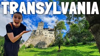 BRAN CASTLE & LIBEARTY BEAR SANCTUARY (Transylvania, Romania)