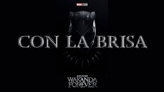 Con La Brisa - Black Panther: Wakanda Forever | by Foudeqush & Ludwig Göransson