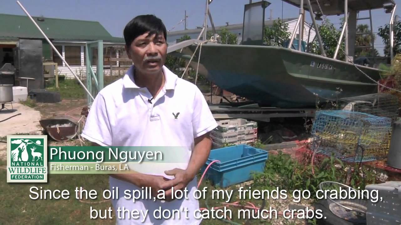 grassroots international Voices from the Coast: One Year Later