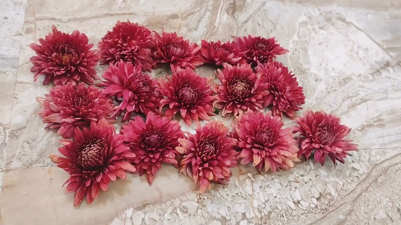 💥 No thread no needle new method😍  sevanthi poo veni making  