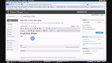 Create a WordPress Post How to Create a Fitness Blog in 10 Easy Steps 9