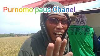 Cara Mudah Dan Cepat Memasang Karung Di Mesin Kombine