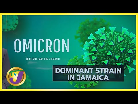 Omicron Variant the Dominant Strain in Jamaica | TVJ News