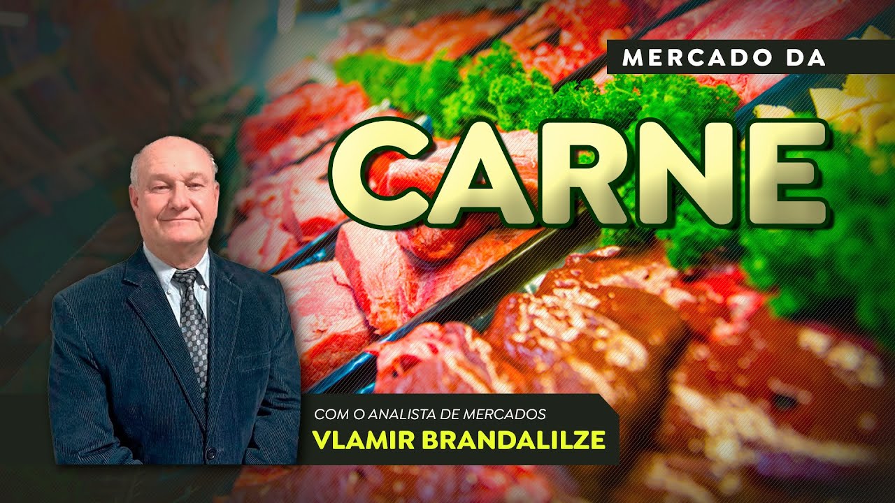 Preço do garrote dispara e se equipara ao bezerro em algumas praças.