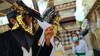 Ngurek Ngunying Pura Puseh Desa Pecatu 31 Oktober 2020