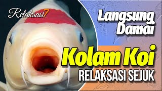 RELAXING MUSIC | Audio Musik Relaksasi Kolam Ikan Koi Sejuk Menenangkan screenshot 4