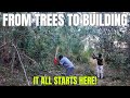 We Chopped Trees Ourselves for a Big Building Project!