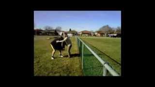 BACKFLIP TO THE HEAD!!  FAIL