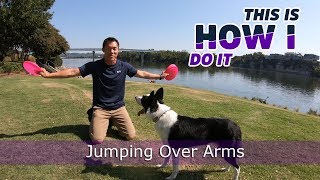 Disc Dog Jumping Over Arms - Andrew Han