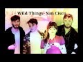 Wild Things- San Cisco