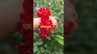 Nutritionist syma khatun.Bangladesh...♥♥♥