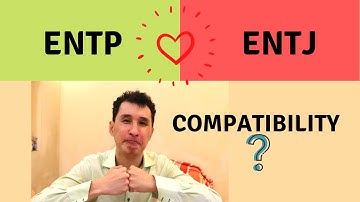 Ep 83 ENTP and ENTJ love compatibility? Can they make a great couple?