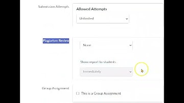 Enabling Copyleaks in an Assignment (for Instructors)