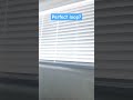 perfect loop?😀