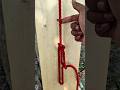 Genius Knot Tricks You’ll Wish You Knew Sooner | Smart Rope Skills #skills #knowledge #shorts