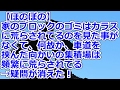 【ほのぼの】 家のブロックのゴミはカラスに荒らされてるのを見た事がなくて、何故か、車道を挟んだ向かいの集積場は頻繁に荒らされてる→疑問が消えた！