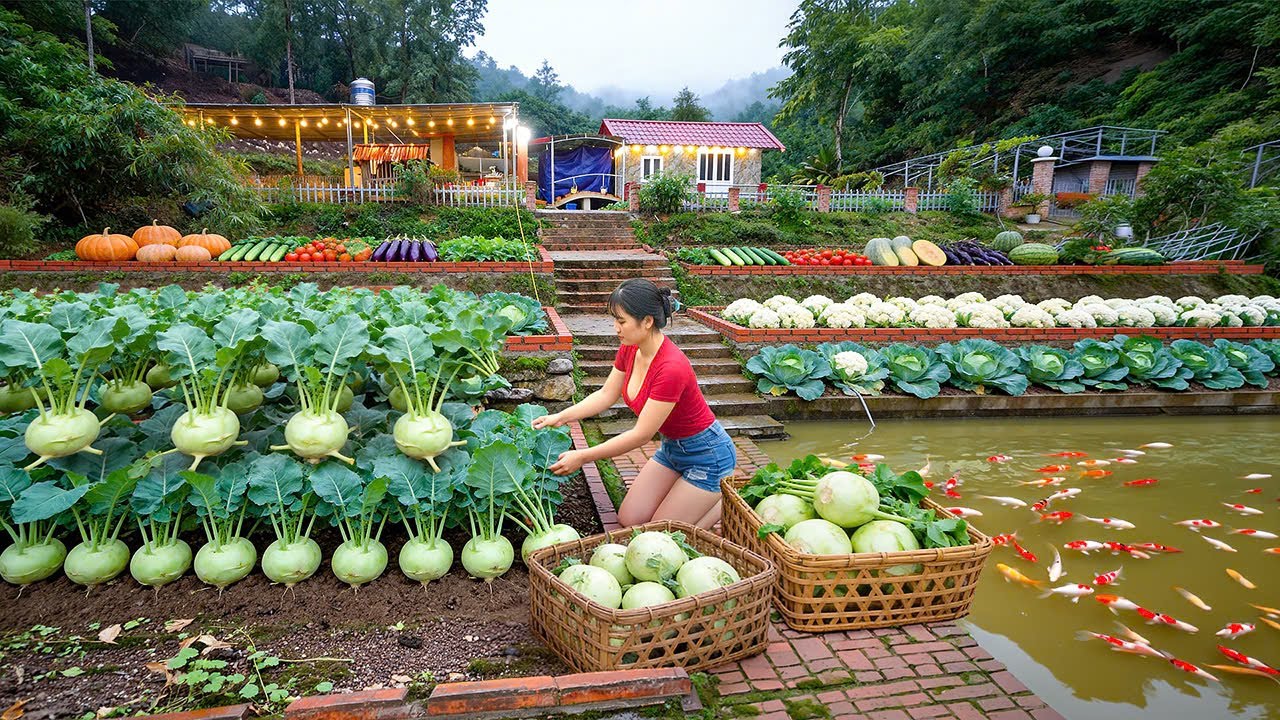 Harvesting Giant Kohlrabi by the Koi Pond: The Most Beautiful Corner of My Farm @VyBuildCraft