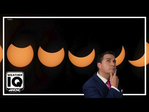 Here's how a solar eclipse can change the weather and affect animals