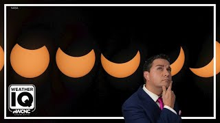Here's how a solar eclipse can change the weather and affect animals