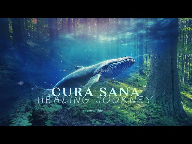 Cura Sana - Powerful Healing Journey - Cura Sana | Calm Whale class=