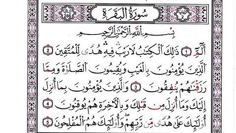 02-سورة البقرة برواية قالون_القارئ فاروق إبراهيم