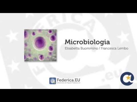 Video: A cosa serve la microbiologia?