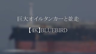 巨大オイルタンカーと並走【4K】BLUEBIRD