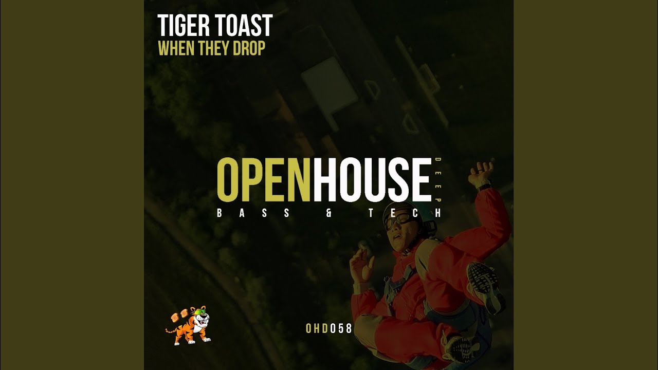 When They Drop (Original Mix)