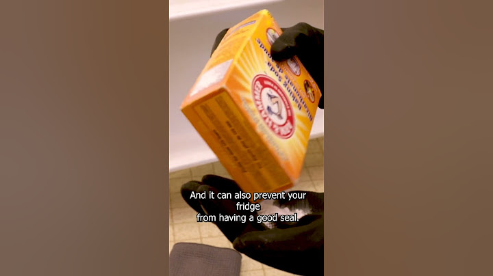 You're RUINING Your Fridge with a Dirty GASKET!