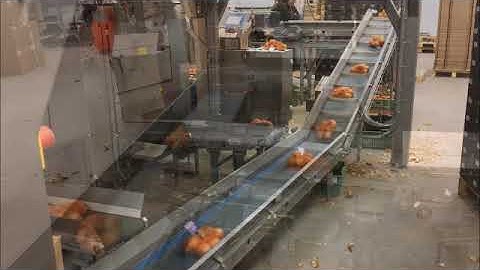 AVN170 CW16FF, 2xAVN929, Checkweigher, Casepacker